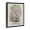 Stupell Industries Vintage Farmhouse Tall Tree Floating Frame, design by Riley B